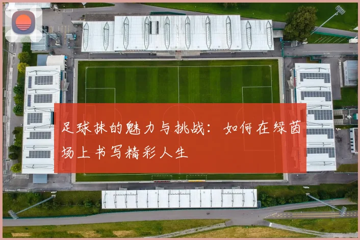 足球抹的魅力与挑战：如何在绿茵场上书写精彩人生