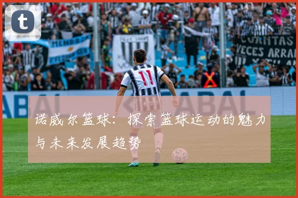 诺威尔篮球：探索篮球运动的魅力与未来发展趋势