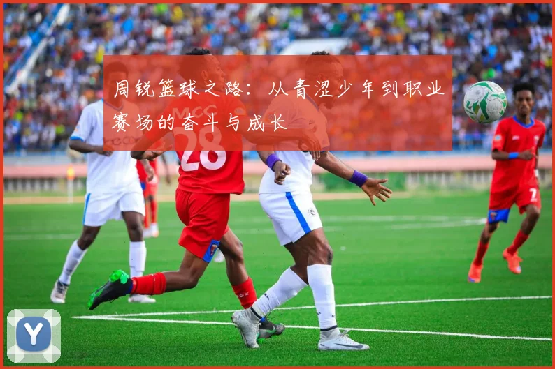 周锐篮球之路：从青涩少年到职业赛场的奋斗与成长