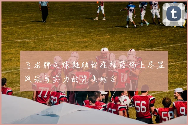 飞龙牌足球鞋助你在绿茵场上尽显风采与实力的完美结合